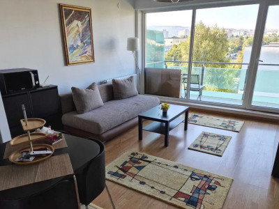 Apartament cu 2 camere, balcon generos si parcare subterana in Viva City